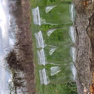 Clear glass jars set of (4)